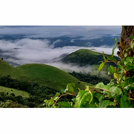 4 days relax & recharge coorg tour package from bangalore
