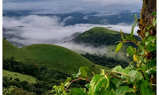 4 Days Relax & Recharge Coorg tour Package from Bangalore