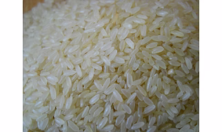 Sona Masoori boiled Rice