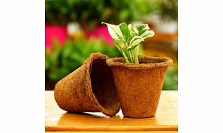 Coir Pot