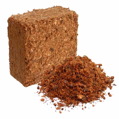 coco chips bricks