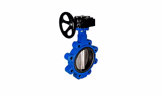 BUTTERFLY VALVE