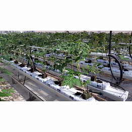 grow bags