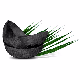 coconut charcoal