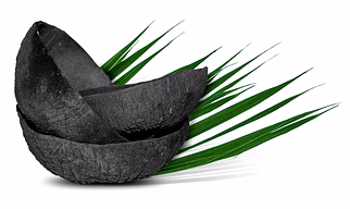 Coconut Charcoal