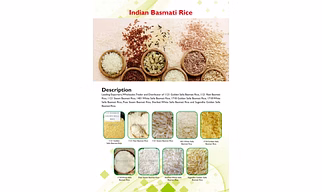 Rice