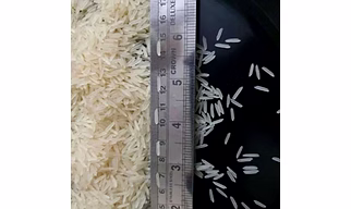 Basmati Rice