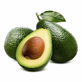 avocado fruit
