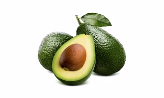 Avocado Fruit