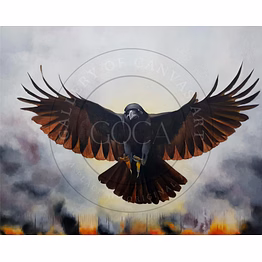burnt feathers