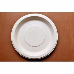 10 inch round plate
