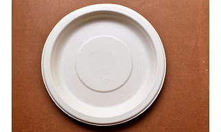 10 inch Round Plate