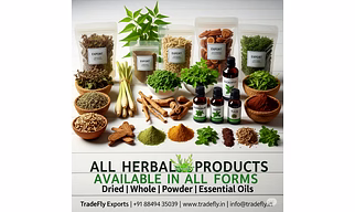 Herbs