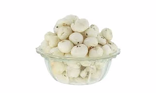Foxnut (18mm to 22mm)