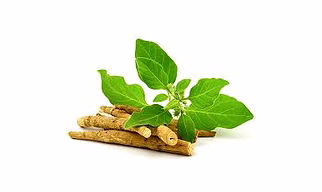 Shilajit Extract, Asphaltum