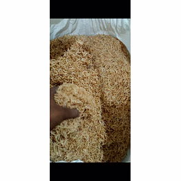 dry fish