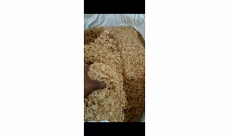 Dry fish