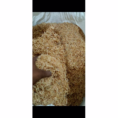 dry fish