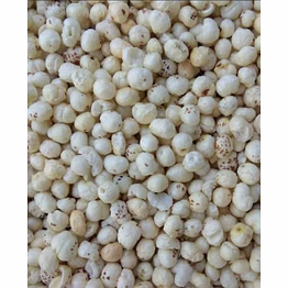 fox nuts