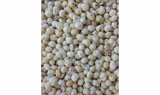 Fox nuts