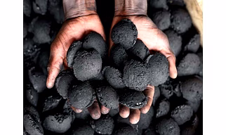 Biomass Energy
