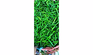 Green Chilly
