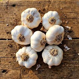 white garlic bulbs