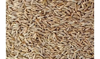 Cumin Seeds