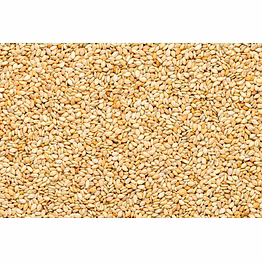 sesame seeds