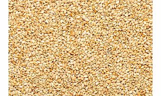 Sesame Seeds