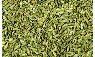 Fennel Seeds