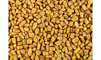 Fenugreek Seeds