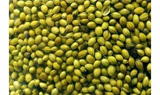 Coriander Seeds