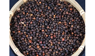Black Pepper