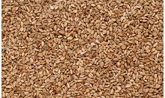 Carom Seeds (Ajwain)