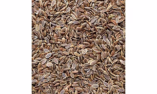 Suva (Dill Seeds)