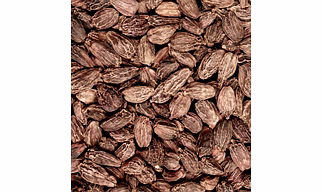 Black Cardamom