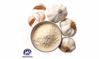 Premium White Dehydrated Garlic Powder