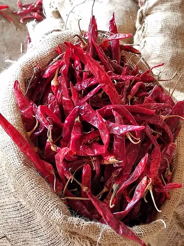 Dry Red Chillies ( Teja & 334) image 2