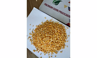 MAIZE GRIT/BROKEN MAIZE