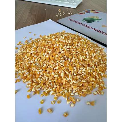 MAIZE GRIT/BROKEN MAIZE-3