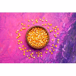 premium maize