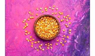 MAIZE