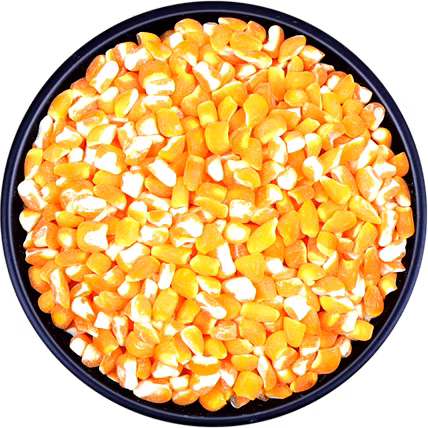 POULTRY FEED MAIZE CRUSHED-1