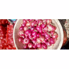 red onion