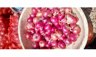 Red Onion