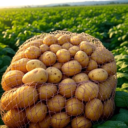 potatoes