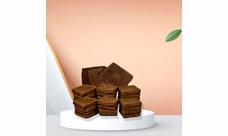 Cow Dung Cake