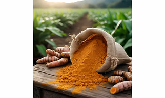 Turmeric Powder