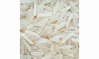 1718 Rice